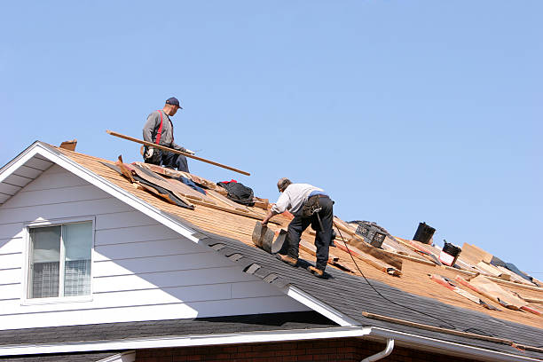 Best Sheet Metal Roofing  in Francis, UT